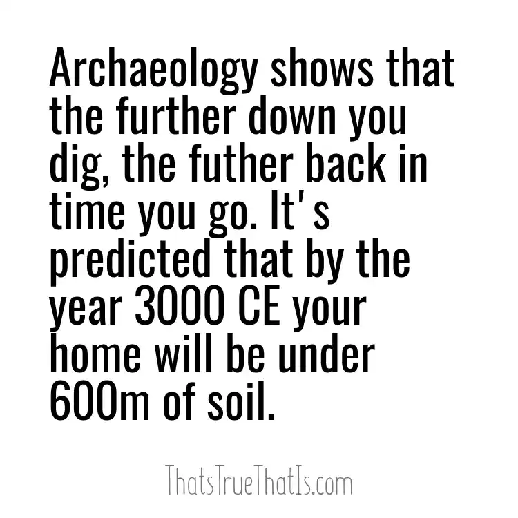 Soil