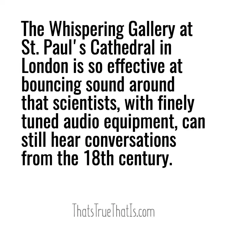 Whisper